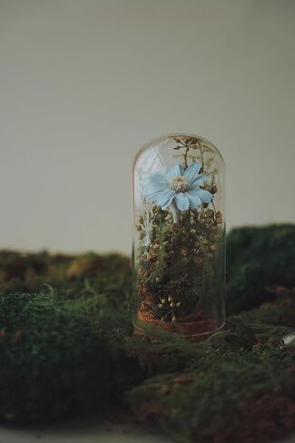 Handmade Preserved Sunflower in Glass Dome Eternal Real Rose Flower for Her,Valentine’s Day, Christmas, Mother’s Day, Birthday, Anniversary, Wedding, Thanksgiving Gifts for Women (Pink) in Saudi Arabia