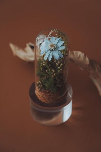 Handmade Preserved Sunflower in Glass Dome Eternal Real Rose Flower for Her,Valentine’s Day, Christmas, Mother’s Day, Birthday, Anniversary, Wedding, Thanksgiving Gifts for Women (Pink) in Saudi Arabia