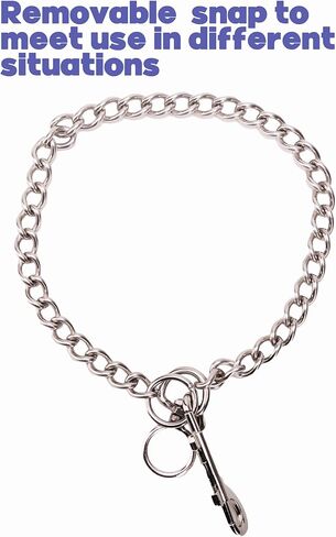 Stainless Steel Lead Chain with Swivel,24 inch,（2 Pack） (24in) in Kuwait