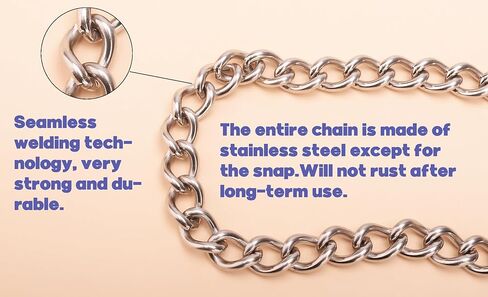 Stainless Steel Lead Chain with Swivel,24 inch,（2 Pack） (24in) in Kuwait