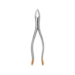 Dental Extracting Extraction Forceps No #150- Gold Handle Premium German Stainless Steel Silver Dental Tools Universal Tooth Extraction Forceps Dental Instruments