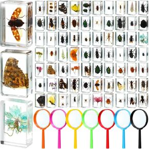 70 Pcs Insect in Resin Specimen with 7 Magnifying Glass Various Bugs Collection Paperweights Bug Kit Preserved in Resin for Kids Scientific Educational Classroom Display Collection