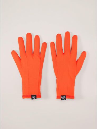 Arc'teryx Rho Glove | Synthetic Moisture Wicking Liner Glove for All Round Use in Saudi Arabia