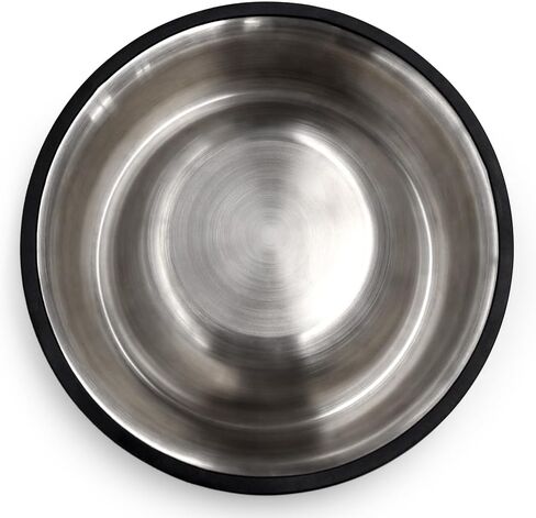 Littlearth NFL Las Vegas Raiders Everyday Pet Bowl, Large in Saudi Arabia