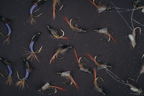 صندوق الطيران الرغوي UMPQUA UPG لعطلة نهاية الأسبوع - حقيبة تخزين الذبابة خفيفة الوزن وخفيفة الوزن ومقاومة للصدمات وسريعة التحميل - منظم أدوات صيد الأسماك، صغير - زيتوني in Kuwait