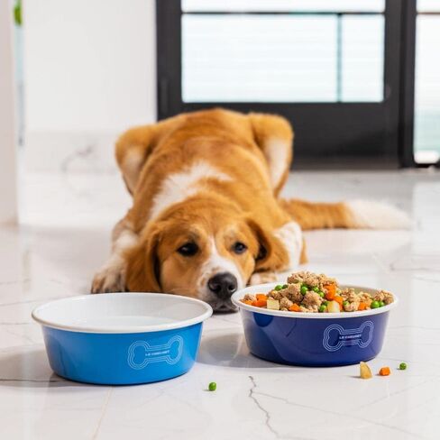Le Creuset Enamel on Steel Large Dog Bowl, 6 Cups, Dark Blue in Kuwait