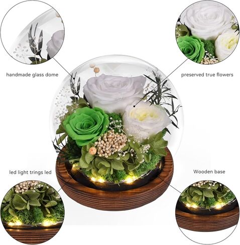 Preserved Flowers Handmade Real Roses in Glass with Light, Gifts for Women Mom Grandma Wife Sister Girlfriend Her Birthday Valentine’s Day Christmas Thanksgiving Mother's Day in Kuwait