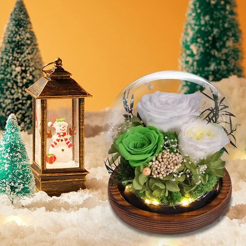 Preserved Flowers Handmade Real Roses in Glass with Light, Gifts for Women Mom Grandma Wife Sister Girlfriend Her Birthday Valentine’s Day Christmas Thanksgiving Mother's Day in Kuwait