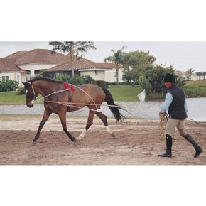 Lunging System