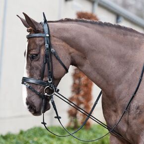 HORZE 10' Adjustable Elastic Neck Stretcher | Training Aid for Horses