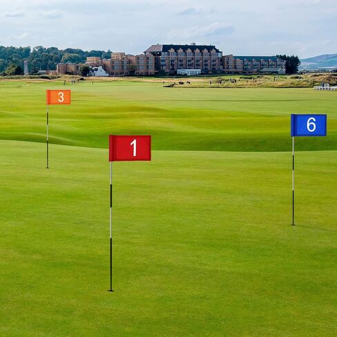 Mixweer 7 قطع علم جولف مرقمة 9-1/2 × 6-7/8 وضع أعلام خضراء مع أنبوب مُدخل أعلام جولف صغيرة محمولة من النايلون أعلام دبوس جولف لممارسة الفناء في الأماكن المغلقة والخارجية والتدريب على حديقة الفناء الخلفي in Kuwait