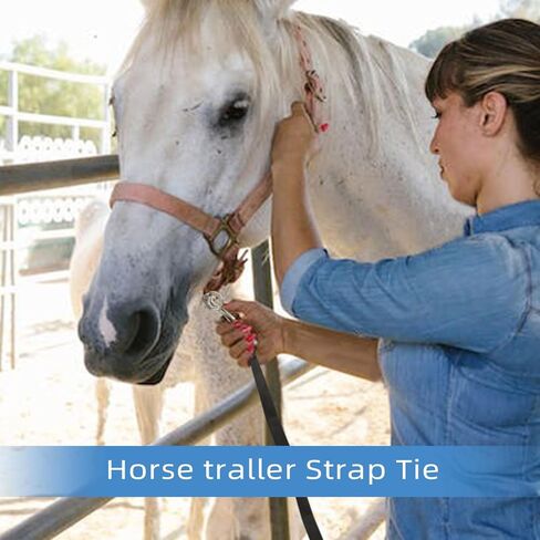 ربطة عنق مقطورة حصان قابلة للتعديل، ربطة عنق متقاطعة بحزام من النايلون لهوالاج الحصان، تم تعديلها من 35.4 إلى 60 بوصة in Kuwait