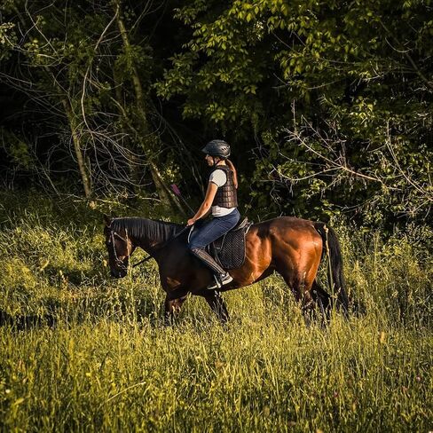 سوط ركوب الخيل باللون الأرجواني الفاخر من الجلد الأصلي لرياضات الفروسية in Kuwait