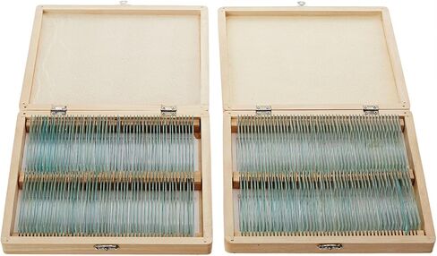 AmScope PS200A Prepared Microscope Slide Set for Basic Biological Science Education, 200 Slides, Set A, Includes Fitted Wooden Case in Saudi Arabia