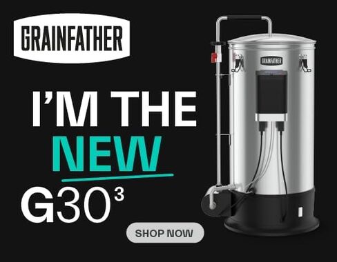 G30 New Version 3 Gen3 110V - Professional Electric Homebrewing System - Auto Reset Switch, Grain Basket Assembly, Compact Design, Stainless Steel 304, 8 US Gal Capacity. in Saudi Arabia