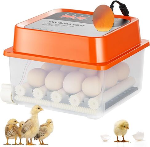 VEVOR 48 Egg Incubator, Incubators for Hatching Eggs, 360° Automatic Egg Turner with Temperature and Humidity Display, 48 Eggs Poultry Hatcher with ABS Transparent Shell for Chicken, Duck, Quail in Saudi Arabia