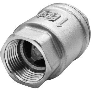 Beduan Stainless 1 NPT Threaded Check Valve Non Return One Way Horizontal Vertical Inline Water Spring Check Valve for Well, Pump, Tank, Backflow Prevention