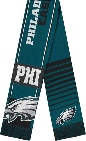 FOCO NFL unisex-adult Nfl Team Logo Reversible Thematic Scarf in Saudi Arabia