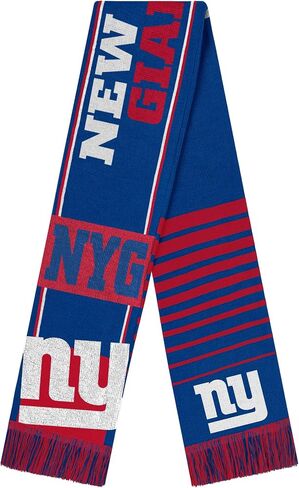 FOCO NFL unisex-adult Nfl Team Logo Reversible Thematic Scarf in Saudi Arabia