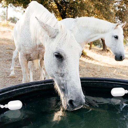 nicunom 8 حزمة صمام تعويم صغير، 1/4 بوصة صمام الكرة العائمة، صمام تعويم المياه البلاستيكية مع ذراع قابل للتعديل للتحكم التلقائي في مستوى المياه في الخزان، حوض مياه الماشية، أحواض السمك، تربية الأحياء المائية in Kuwait
