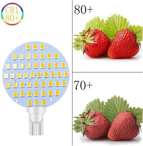 GRV T10 921 194 LED Bulb 24-5050 SMD lamp Super Bright AC 12V /DC 12V -24V for RV Boat Iandscaping Ceiling Dome Interior Lights Warm White (2nd Generation) Pack of 2 in Saudi Arabia