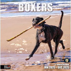 RED EMBER Black Labrador Retrievers 2024 Hangable Monthly Wall Calendar | 12" x 24" Open | Thick & Sturdy Paper | Giftable | Labs Cute Dog | Adorable Black Beauties