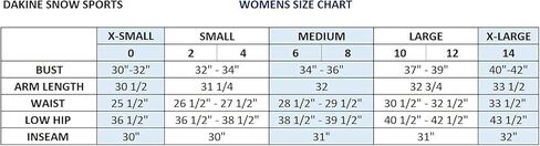 Dakine Womens Stoker Gore-Tex 3-Layer Ski/Snowboard Bibs, Black, Medium in Saudi Arabia