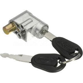 1Pcs Electric Bike Battery Box Safety Lock Portable Anti-Theft Key Lock Battery Cylinder Lock for Motorcycle Electric Bike Scooter E-Bike with 2 Keys Light Weight(Silver)