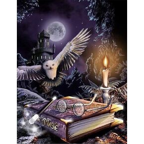 PSCH Owl Diamond Painting Kits for Adults-Owl Diamond Art Kits for Adults,DIY 5D Full Drill Diamond Art Perfect for Relaxation and Home Wall Decor (12x16inch)