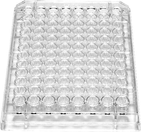 Caplugs Evergreen 290-8350-03F 96-Well لوحات مسطحة غير معقمة بدون غطاء، 100 عبوة، طبيعية، بولي بروبيلين، حجم جيد 0.37 مل، مزارع الخلايا، فحوصات، PCR، تخزين العينات، الأبحاث in Kuwait