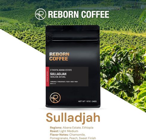 Reborn Coffee Specialty Whole Bean Coffee, Medium Roast, 12 Ounce, Mexico Chiapas Organic, Flavor Notes of Chocolate, Brown Sugar, and Maple Sugar in Saudi Arabia