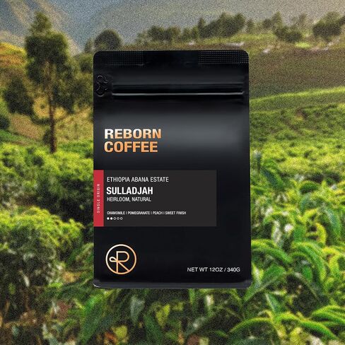 Reborn Coffee Specialty Whole Bean Coffee, Medium Roast, 12 Ounce, Mexico Chiapas Organic, Flavor Notes of Chocolate, Brown Sugar, and Maple Sugar in Saudi Arabia