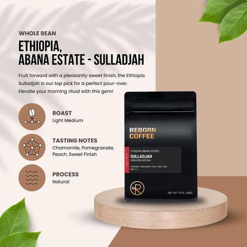 Reborn Coffee Specialty Whole Bean Coffee, Medium Roast, 12 Ounce, Mexico Chiapas Organic, Flavor Notes of Chocolate, Brown Sugar, and Maple Sugar in Saudi Arabia
