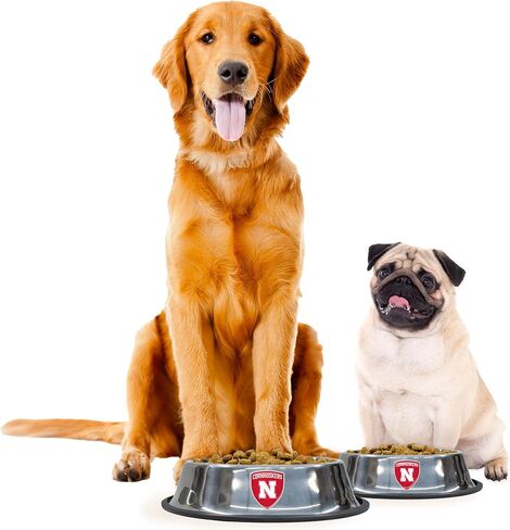 Littlearth NCAA Everyday Pet Bowls in Saudi Arabia