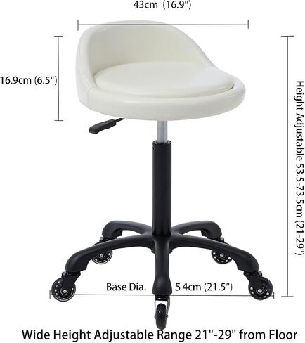 Rolling Salon Stool Chair with Back Support Hydaulic Height Adjustable on Swivel Wheels Heavy Duty for Hair Cutting Esthetician Tatto Beauty Spa Bar Lab Clinic Kitchen Office Home (Dark Gray) in Saudi Arabia