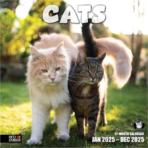 RED EMBER Hairless Cats 2024 Hangable Monthly Wall Calendar | 12" x 24" Open | Thick & Sturdy Paper | Giftable | Kids Teen Kittens | Bald Is Beautiful