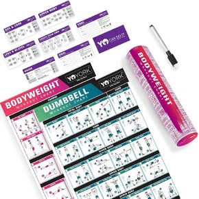 YoYork Workout Posters for Stretching - Laminated Home Gym Workout Poster with 10 Workout Cards for Full Body Stretching Exercise - 17" x 45"