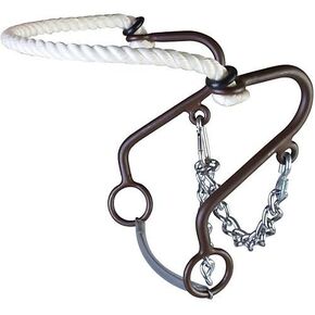 Westen at Rope Nose Little S Hackamore