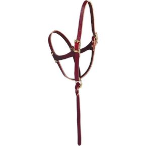 Weaver Leather Figure-8 Foal Halter Russet, 5/8"