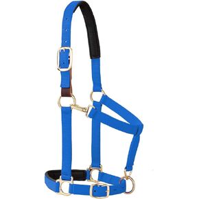 Weaver Equine Breakaway Horse Halter, Comfort Foam Padding, Adjustable Chin & Throat Snap Halters for Horses, Equine Tack,Average Size