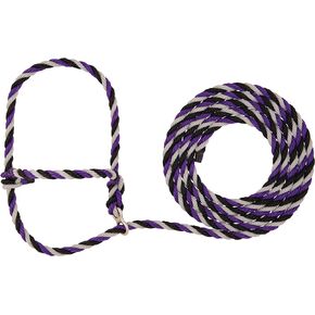 Weaver Leather Livestock Stierwalt Breaking Halter, Purple/Black/Gray, 8 1/2' in Kuwait