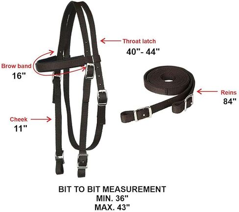 Majestic Ally Nylon Padded Browband Headstall with Reins for Horses (Black, Full) in Saudi Arabia