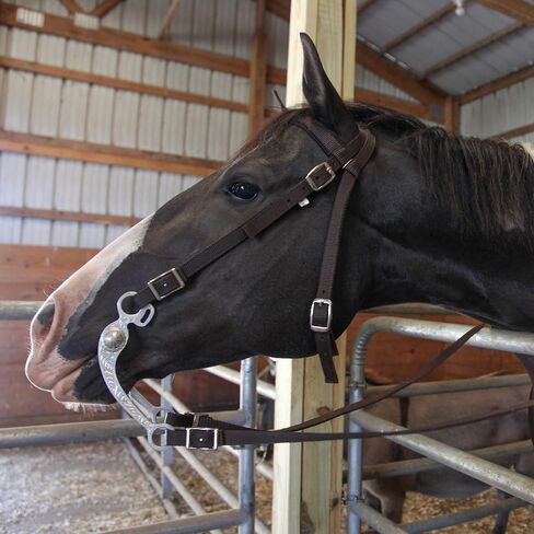 Majestic Ally Nylon Padded Browband Headstall with Reins for Horses (Black, Full) in Saudi Arabia