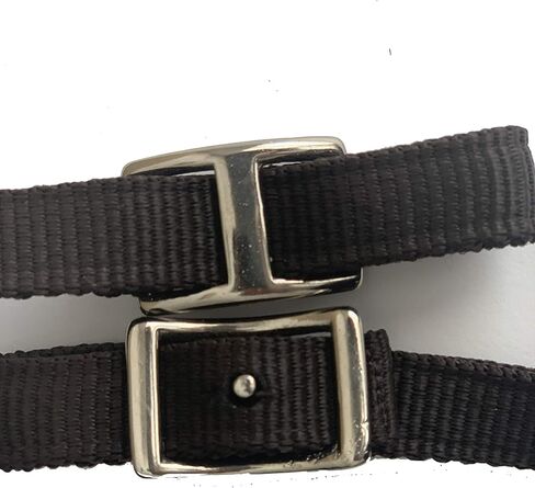 Majestic Ally Nylon Padded Browband Headstall with Reins for Horses (Black, Full) in Saudi Arabia