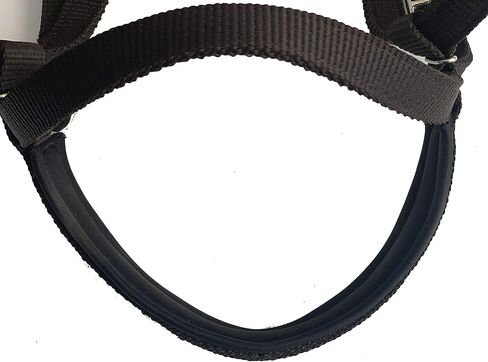 Majestic Ally Nylon Padded Browband Headstall with Reins for Horses (Black, Full) in Saudi Arabia