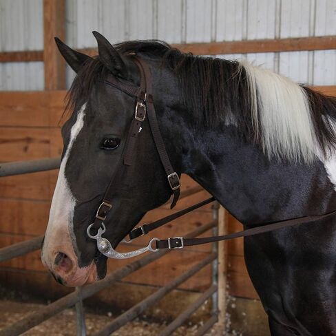 Majestic Ally Nylon Padded Browband Headstall with Reins for Horses (Black, Full) in Saudi Arabia