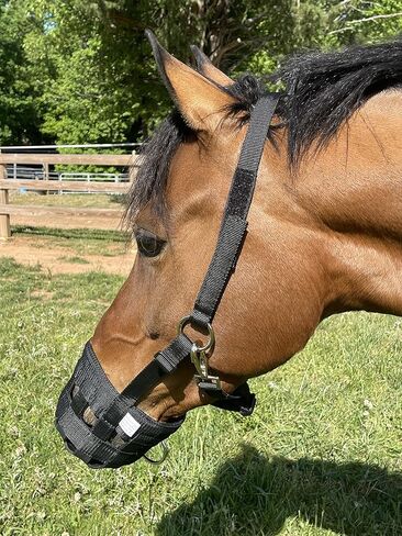 كمامة الرعي مبطنة بشكل مريح (اختيار الحجم للمهر، أو حصان عربي صغير، أو حصان) وبطانة من النيوبرين شديدة التحمل in Kuwait