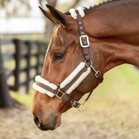Equinavia Valkyrie Soft Ultra Fleece Padded Adjustable Breakaway Horse Halter in Kuwait