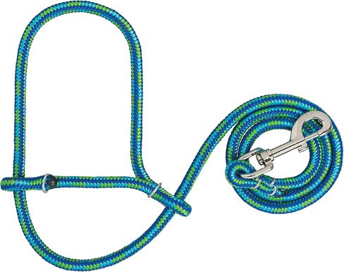 Weaver Leather Poly Rope Sheep Halter with Snap, Blue/Lime in Kuwait