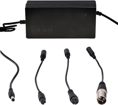 25.2V 29.4V 42V 54.6V دراجة كهربائية سكوتر e-Bike شاحن بطارية بطارية ليثيوم أيون 24V 36V 48V 6S 7S 10S 13S in Saudi Arabia